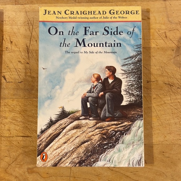 Jean Craighead George: My Side of the Mountain series - Picture 4 of 4